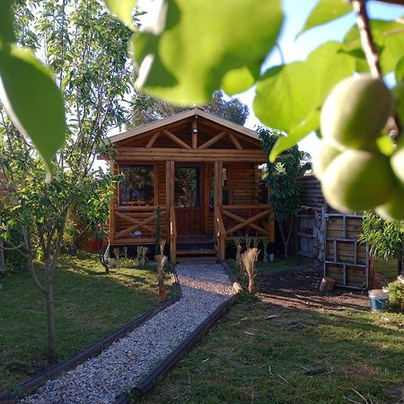 Foresta Acantilados, Casa Container Y Cabana De Troncos Mar del Plata Luaran gambar