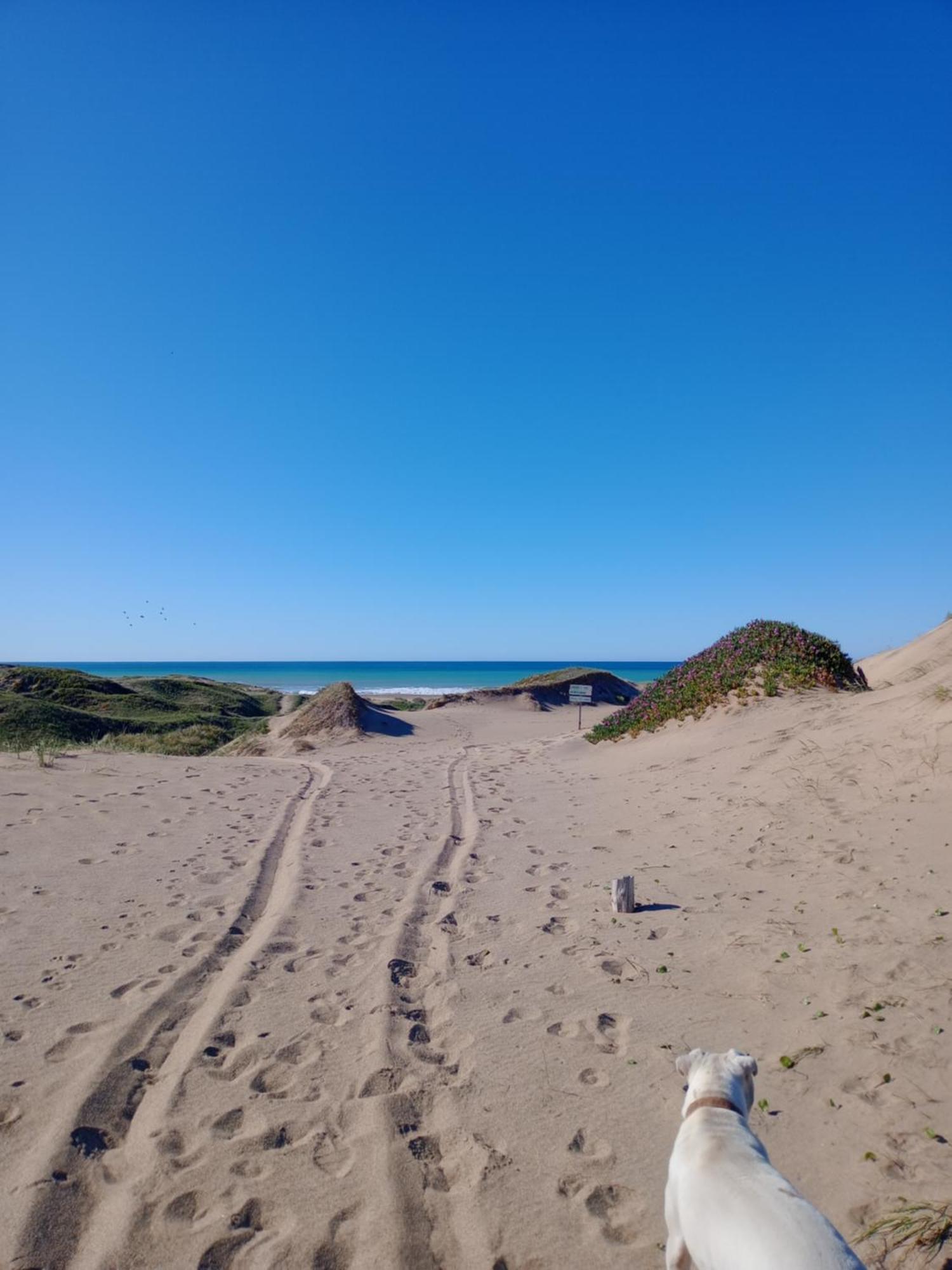 Foresta Acantilados, Casa Container Y Cabana De Troncos Mar del Plata Luaran gambar