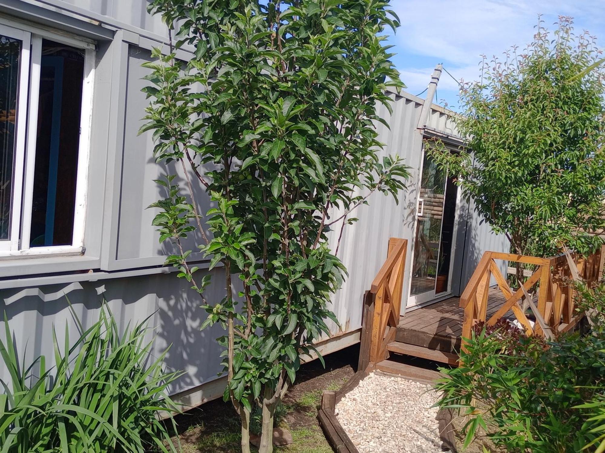 Foresta Acantilados, Casa Container Y Cabana De Troncos Mar del Plata Luaran gambar